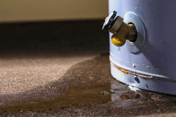 Best Ceiling water damage repair  in Mounds, OK