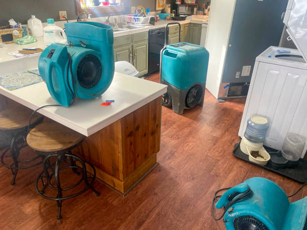 Best Sewage cleanup and water damage restoration  in Mounds, OK