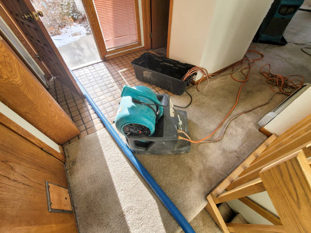 Best Water damage restoration experts  in Mounds, OK