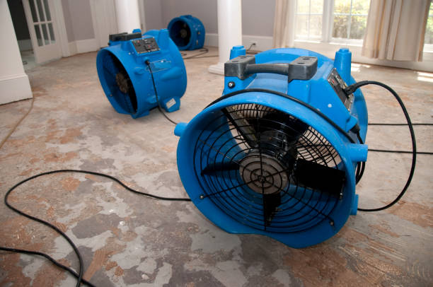 Best Water damage restoration specialists  in Mounds, OK