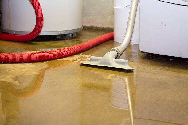 Best Water damage restoration process  in Mounds, OK