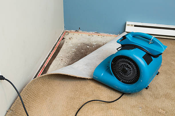 Best Commercial water damage restoration  in Mounds, OK